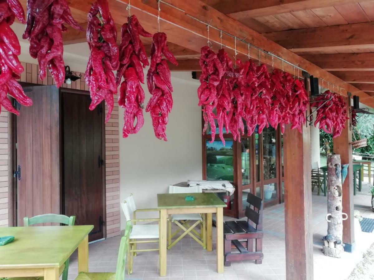 Le Chalet Del Pollino Rotonda Luaran gambar